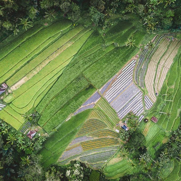 Outdoor terrace seating suitable for families in Toronto