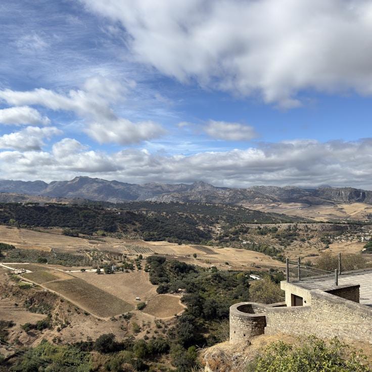 Family terraces and cafés for calm evenings in Toronto
